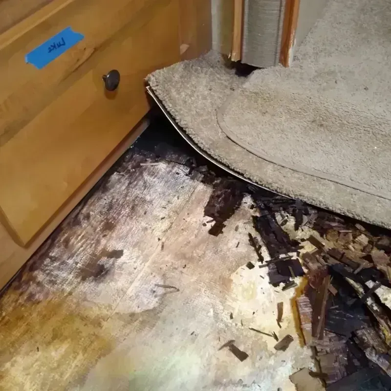 Best Wood Floor Water Damage Service in Tyro, NC